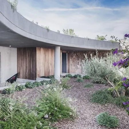 Cipiniello Olmeto (Corsica)