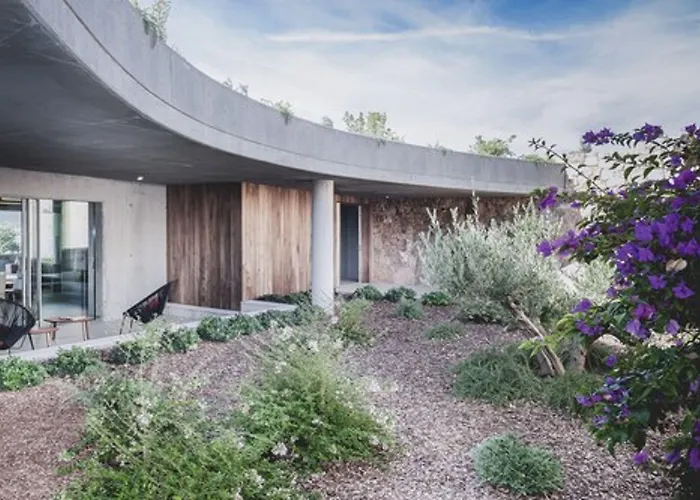 Cipiniello Olmeto (Corsica)